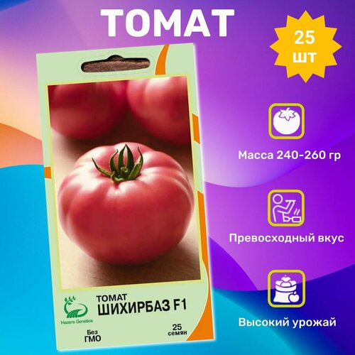 ���� ������ ������ �������� F1 25��. ���������� ��������, ������ �� 790 ���