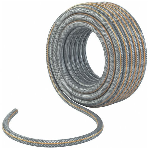 ���� ����� PALISAD Professional, 1/2