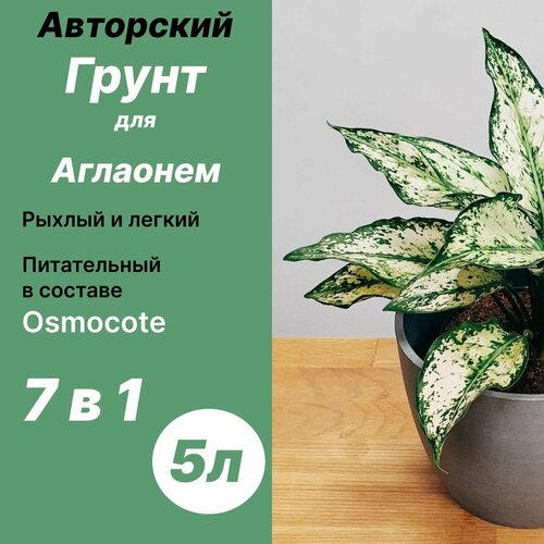 ���� ����� ��� �������� 5� / �������, ������ �� 640 ���