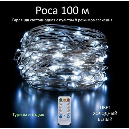 ���� �������� ���� 100� � ������� ����������, �����, ������ �� 2199 ���