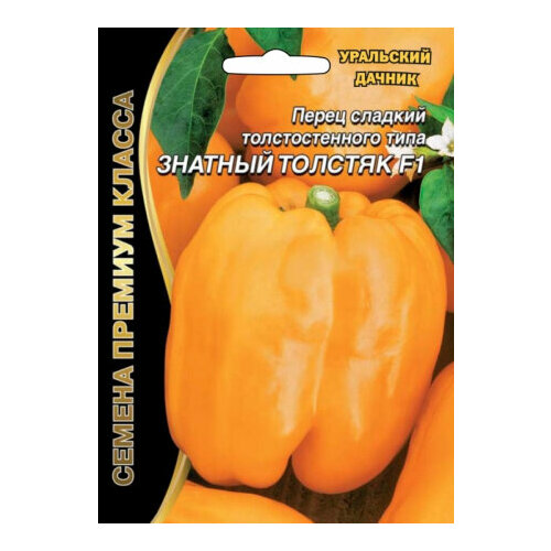 ���� ������ ����� ������� ������� F1 (7-8��) ������ (��������� ������), ������ �� 85 ���