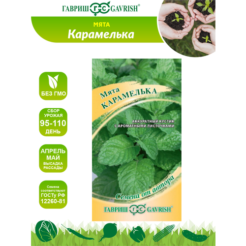 ���� ������ ���� ���������� �����. 0,05 ��., ������ �� 530 ���