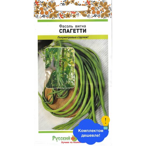 ���� ������ ������ ������� ������ 