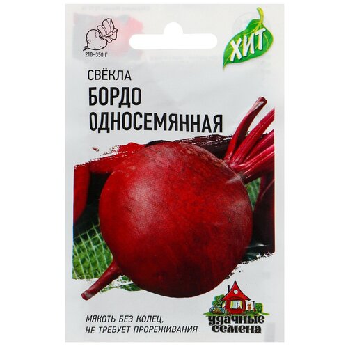 ���� ������ ������ 