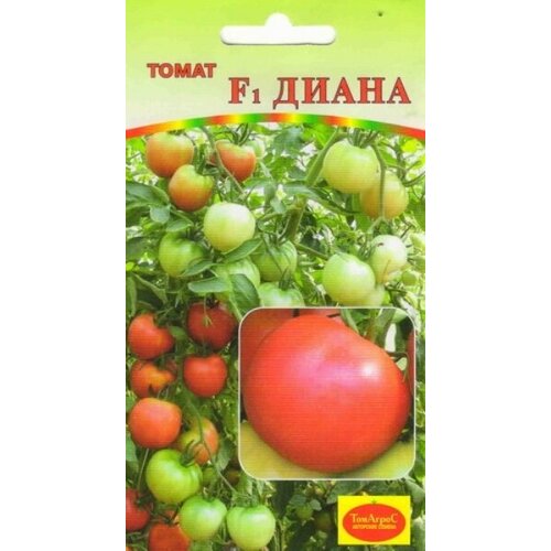 ���� ������ ����� ����� F1 (�����), ������ �� 66 ���