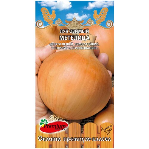 ���� ��� ������ �������� (1 �), 2 ������, ������ �� 239 ���