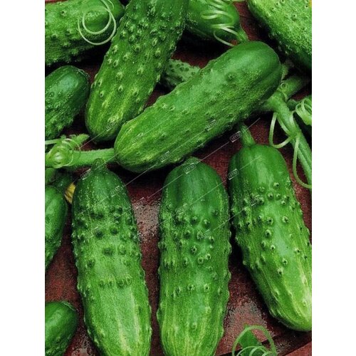       - 0,5 .      ,   190 