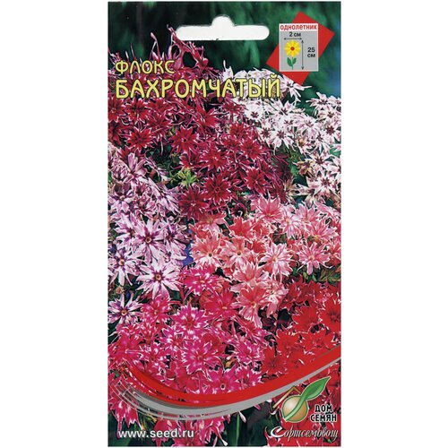 ���� ����� �����������, 55 �����, ������ �� 233 ���