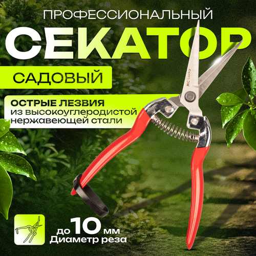 ���� ������� ������� / ���������������� ������� ��� �������� / ������� ��� ������� ��������, ������ �� 599 ���