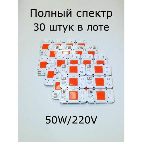 ���� 30 ����������������� ����������� YXO DOB 4075-50W �� 50W/220V. � ���� 30 �����������!, ������ �� 10100 ���