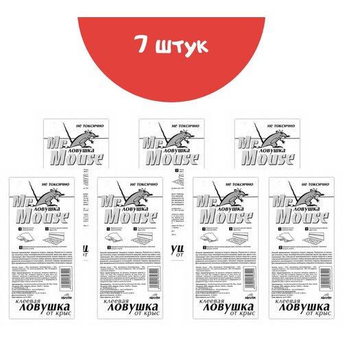 ���� ������� ������� �� ���� � ����� Mr.Mouse 7 �������, ������ �� 750 ���