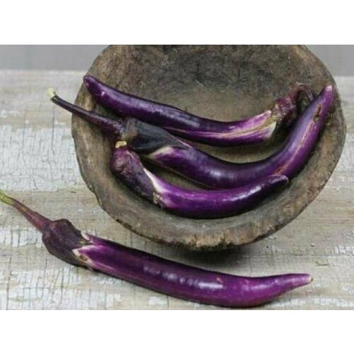      (Japanese Pickling) / Seeds And Goods /   zip-lock   15 ,   269 