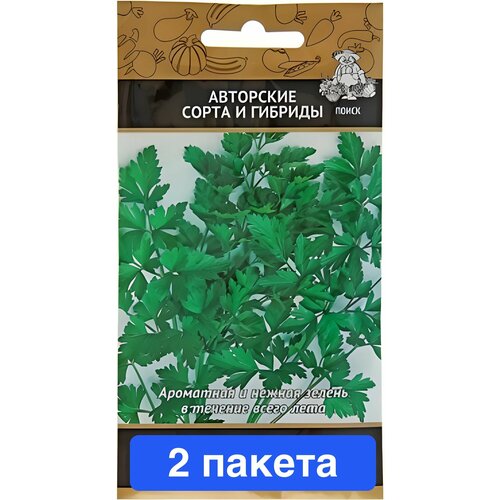 ���� ������ ������ � ��������� ����� 