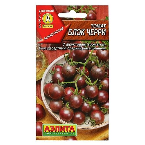 ���� ��������� ������ ������ ����� 