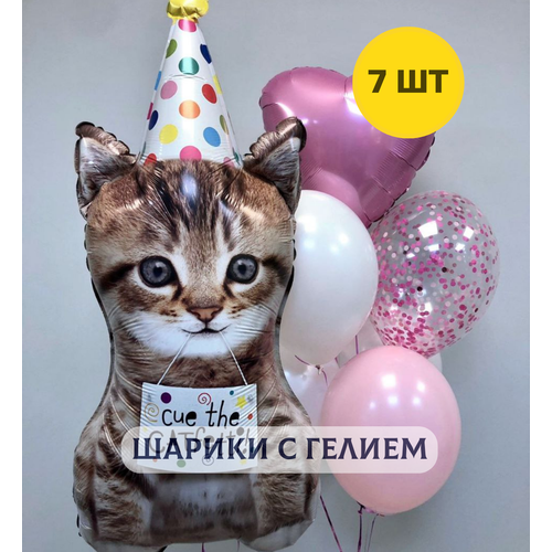 ���� ��������� ���� � ������ (�������) ��� ������� 