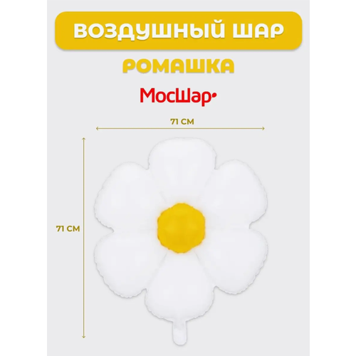 ���� ��������� ��� ������ �������, ���� �� ���� ��������, ��������� ������, ������ �� 328 ���