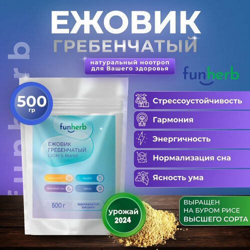 ���� ������ ����������� �������� ���, ������� ������, ���������, ������ �� 2834 ���