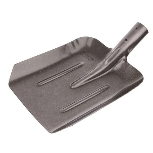 ���� �������� ������ 