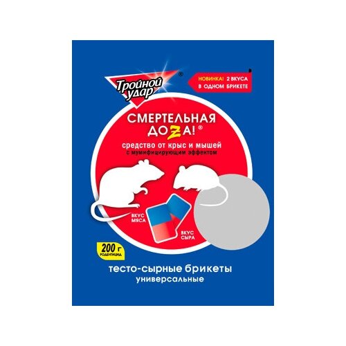 ���� �����-������ ������� �� ���� � ����� 200�. ���� ���� � ����., ������ �� 236 ���