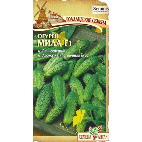 ���� ������ ������ ���� F1 �������� 5�� �� ������ (������ �����) ����������� ������, ������ �� 260 ���