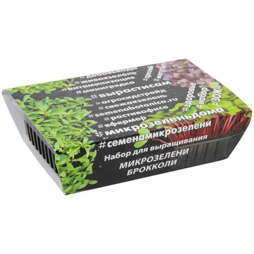 ���� ����� ��� ����������� ����������� 