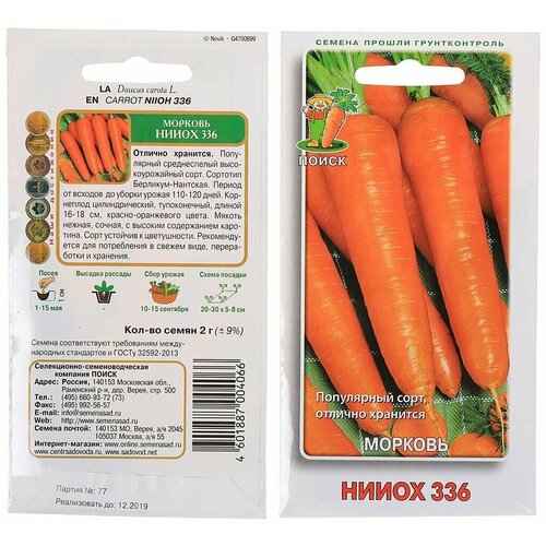 ���� ������� 