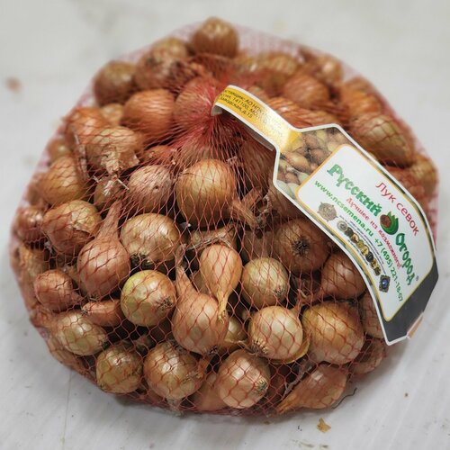  -   22/30 ( 1) ,   597 