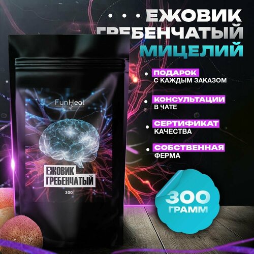 ���� ������ ����������� ������� �������, ������ �� 1556 ���