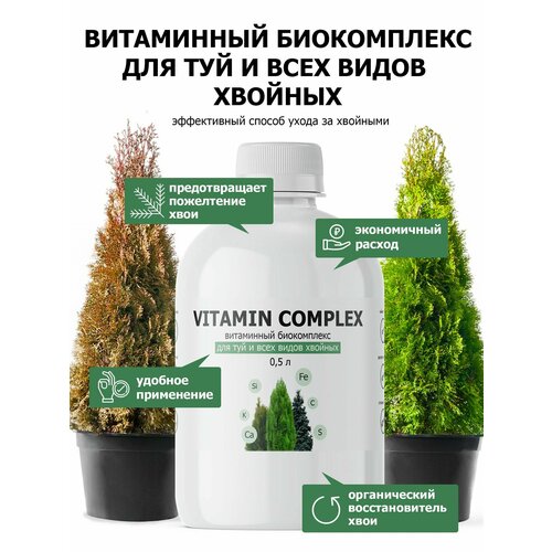 ���� ���������� ����������� 