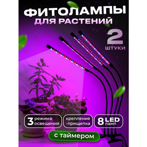        Ocean of Light, ,    ,   ,   3692 