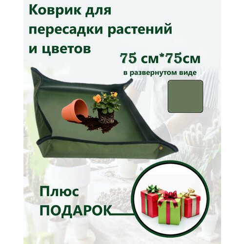 ���� ������ ��� ��������� �������� � ������, ������ �� 560 ���