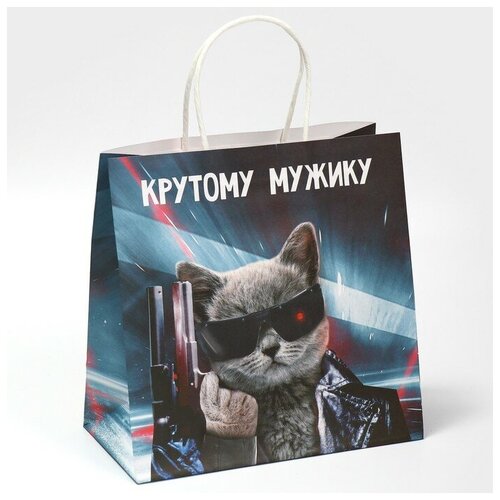 ���� ����� ���������� ��������� �������, 22 � 22 � 11 ��, ������ �� 177 ���