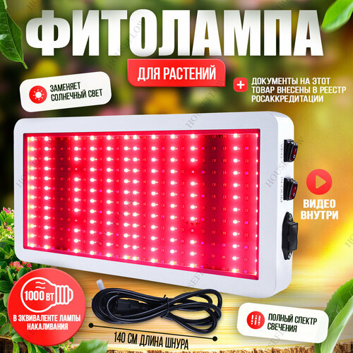   1000    , ,   -  ,   9281 