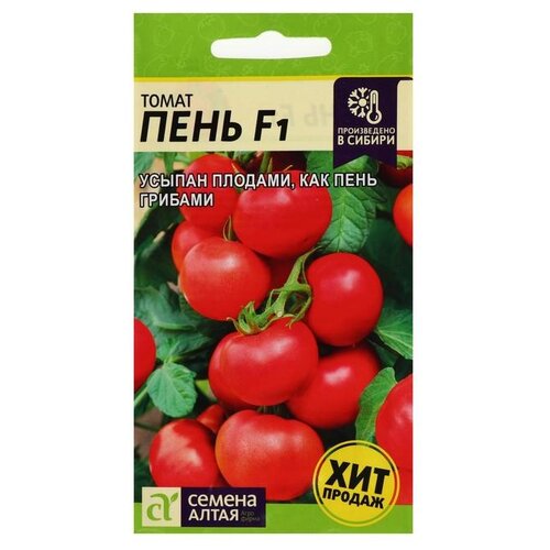 ���� ������ ������ ����� ����� ���� F1, 5 ��., ������ �� 261 ���