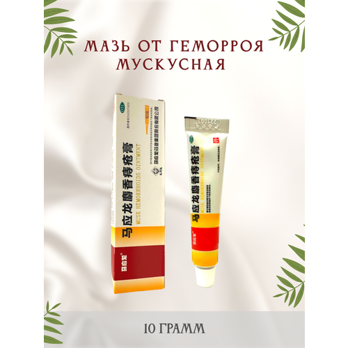 ���� ��������� ��������� ���� �� �������� � ������ 10 �����, ������ �� 550 ���