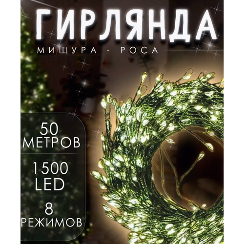 ���� �������� 