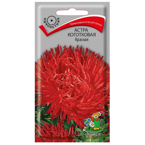 ���� ������ ����� ���������� ������� ���������� 0,3 ��., ������ �� 239 ���