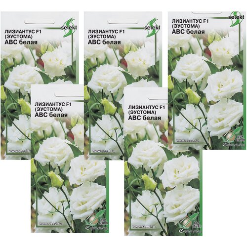 ���� ��������� F1 (�������) ��� �����, 5 �������� �� 5 �����, ������ �� 728 ���