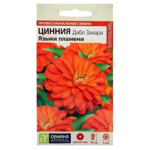 ���� ������ ������ ������ ���� ������ 