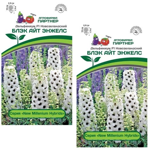 ���� ������ ���������� �������. ���� ��� ������ /��������� �������/ 2 ��������,6 �����, ������ �� 620 ���