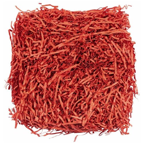 ���� �������� ����������� ��� �������� ������� ����� Chip �������, ������ �� 365 ���