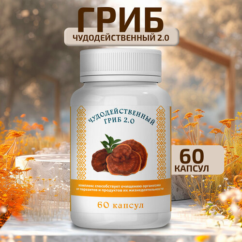 ���� ��������������� ���� �� ��������� � ��������, ������ �� 750 ���