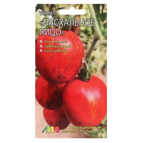 ���� ������ ������ 