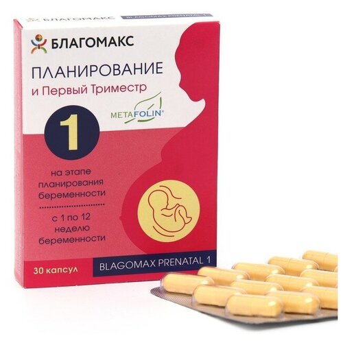 ���� ��������� �����p������ � ��p��� �p�����p ��� �30, ������ �� 240 ���