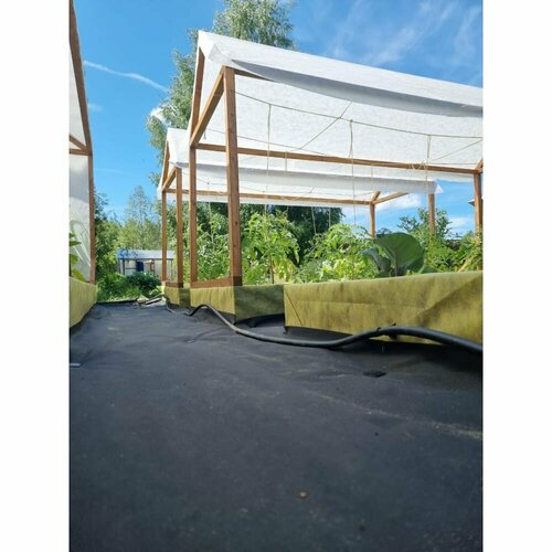 ���� ����������� 