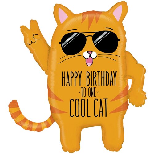 ���� ������ HB TO ONE COOL CAT ���, ������ �� 544 ���