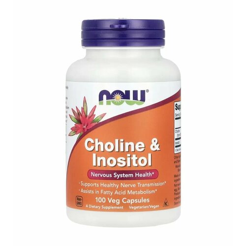 ���� NOW Choline & Inositol ��� ����� � ��������, 500mg 100 Veg Caps, ������ �� 1510 ���