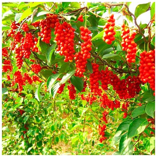 ���� ������ ��������� �������� ��������� ������, 20 ��, ������ �� 354 ���