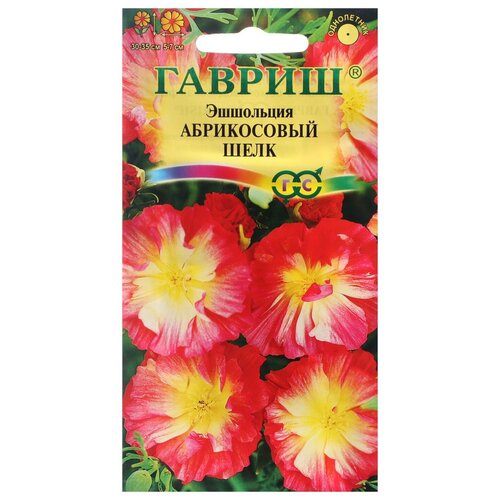 ���� ������ ������ ��������� �������� 