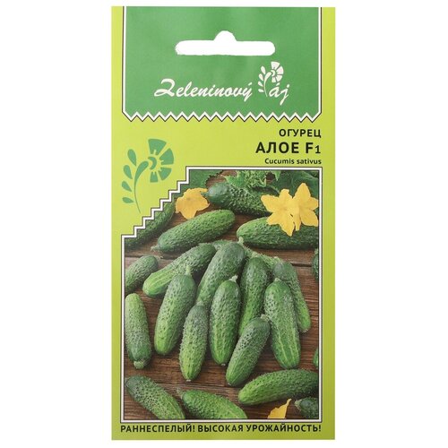 ���� ��������� ������ ������ ������ 